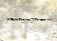 A Slight Fuzzing of Perspective